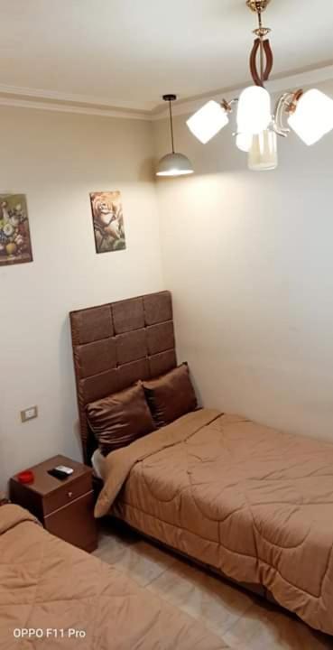 カイロ アガタ ホステルホステル 部屋 写真